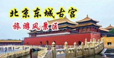 粗大插入双飞姨妈浪穴中国北京-东城古宫旅游风景区